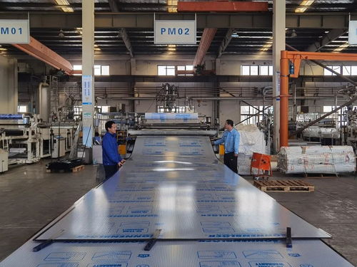 青浦 以技术服务与开发为引擎，彰显区域韧性与活力，跑出发展加速度